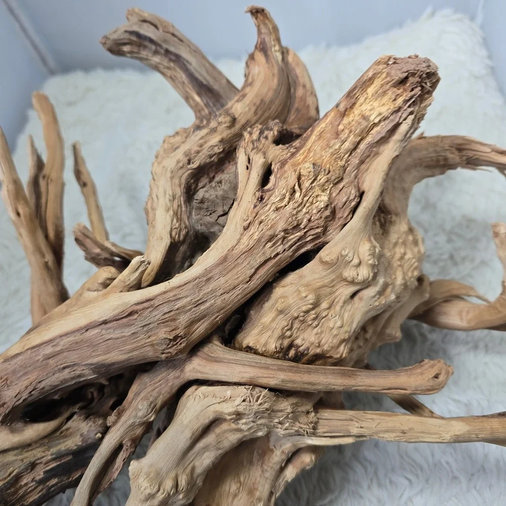 Natural Driftwood Aquarium Terrarium Decor 16 Inch Tan Large Root‎ Sculpture